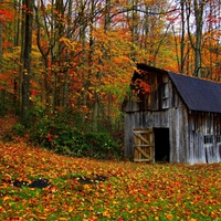 Explosive great autumn picture