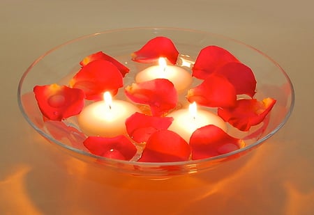 Petals and flames for Miss Anna - roses, flames, candles, petals, glass