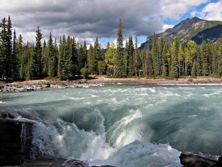 Athabasca Falls, Jasper National Park, Canada - water, sky, falls, trees