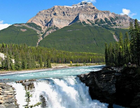 Athabasca Falls, Jasper National Park, Canada - water, falls, mountain, trees