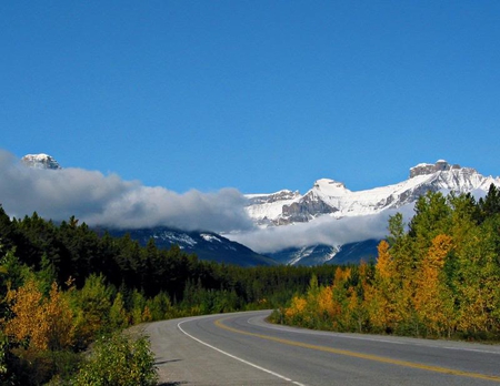 Along the Icefields Parkway, Jasper National Park - sky, trees, road, mountain