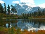 Mt. Shukson