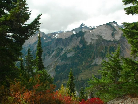 Mount Baker - sky, trees, mountain, brush