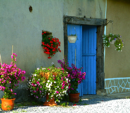 blue door - in front, blue door, house, pot flowers