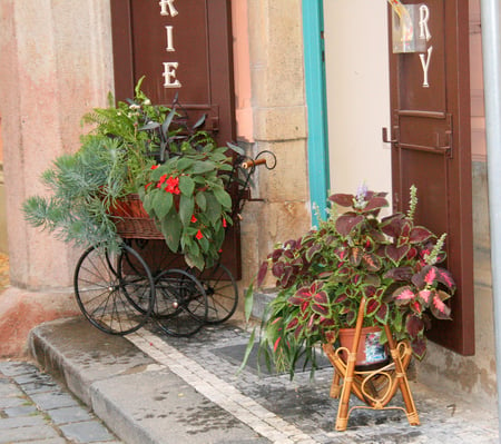 beauty in the corner - beauty, houses, corner, pot flowers