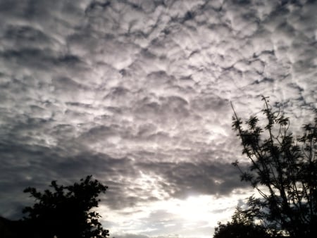 Cottony Clouds - clouds, dark, cotton, sky