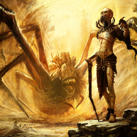 spider scavenger