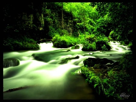 forks - forest, nature, jungle, falls, green