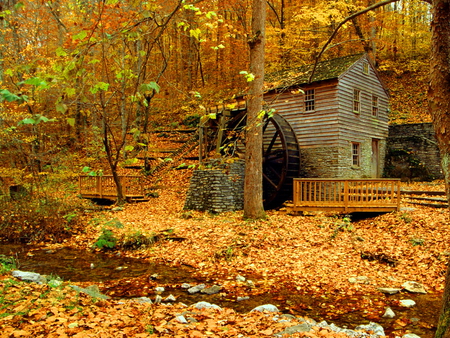 Forest mill - fall, nature, yellow, autumn, red, mill, golden, forest