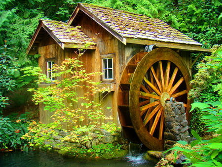 Water mill - summer, forest, creek, beautiful, mill, water mill, river, nature, stream, hidden, greenery, water, peaceful, wood, old, trees, calm, green