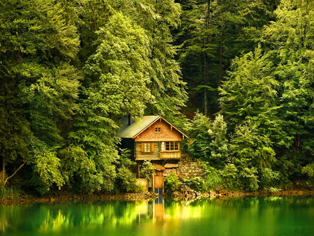 Hidden among trees - cottage, lake, trees, hidden, summer, nature, reflecyion, green, barn