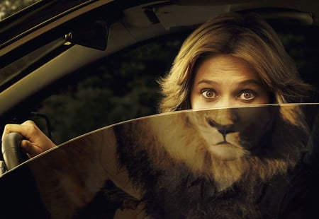 Face lifting - nice, woman, fun, funny, face, car, window, wild, beautiful, help, leo, animal