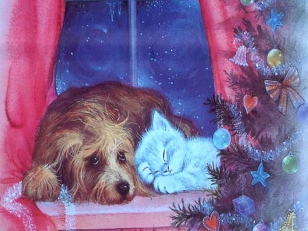 Waiting for Christmas - cat, puppy, christmas, kitten, window, dog, holiday, animal, tree, friend