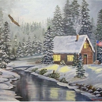 American winter