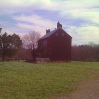 Buzzards on the roof