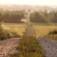 Idyllic Country Lane