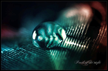 Pearl_of_Night - pearl-of-night, picture, cool, water-drop