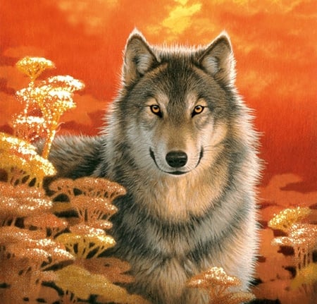 Wolf - wolf, sunset, animals, other