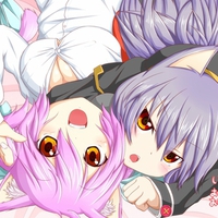 Kitty Play