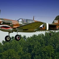 P40 Warhawk