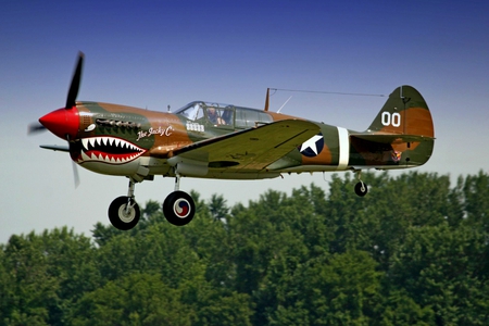 P40 Warhawk