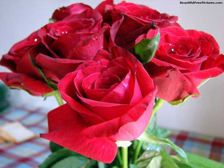 BEAUTIFUL BOUQUET - beautiful, bouquet, red, roses