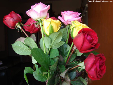 ROSE BOUQUET - red, roses, pink, yellow, green