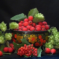 Bowl of fruit.