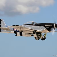 P51 Landing