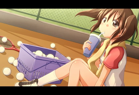 Sawanatsu Kotone - anime, anime girl, girl, sawanatsu kotone, kawai, sweat, softenni, cute, tennis