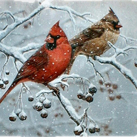 Winter's Song - Birds F2