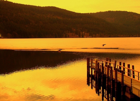 Sunset over the lake - beautiful, landscape, gold, reflection, sunset, nature, lake, sun, bridge