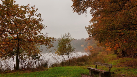 Awe-inspiring... - trees, refreshing, scene, grass, nature, awesome, autumn, cold, bench, lake