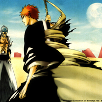 Grimmjow VS Ichigo