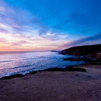 Bodega Head Sunset