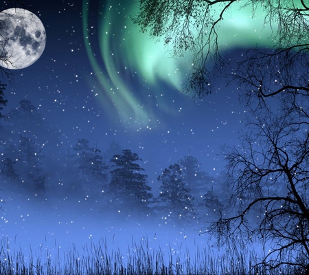 Magical night - moon, trees, magic, night, imagination, fantasy, blue, moonlight, glow worms