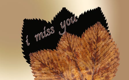 missing you Honey - own, gradient, leaf, brown