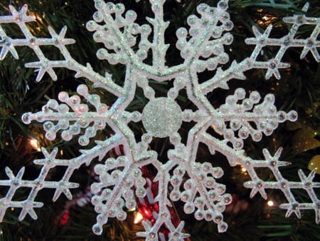 SNOWFLAKE - nature, beauty, wonder, flake