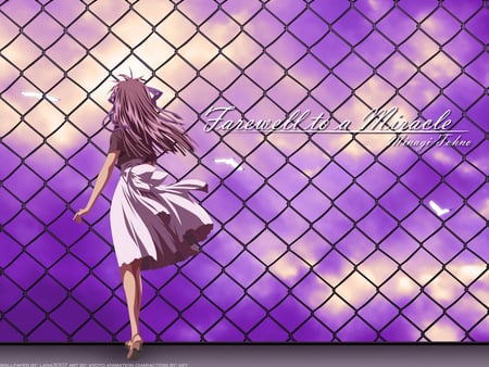 Farewell to a miracle - purple, air, air tv, long hair, ribbon, sunset, tohno minagi, birds