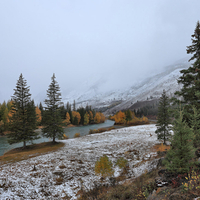 Winter Mountain Woods