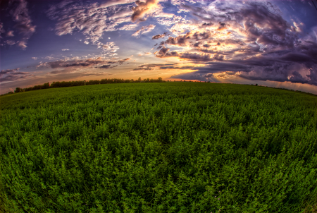 End_of_the_Day - nature, sky, landscape, clouds, green, grass