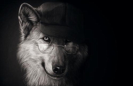 Sly Wolf - animal, wolf, funny, manipulation, sly, dog