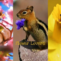 Flower Lovers