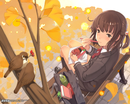 School days - ben-to, blush, food, uniform, short hair, brown hair, bird