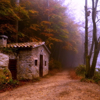 House near the river