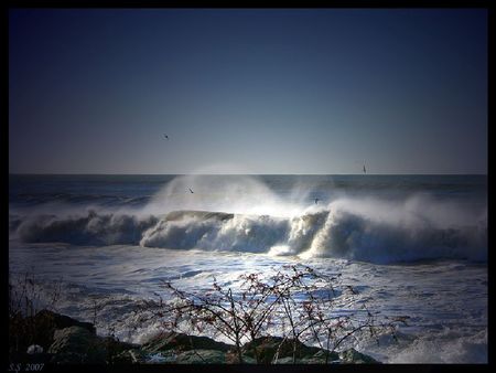 giant waves - wave, sea, giant