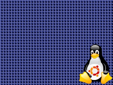 Tux Ubuntu - linux, ubuntu