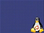 Tux Ubuntu