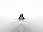 linux penguin