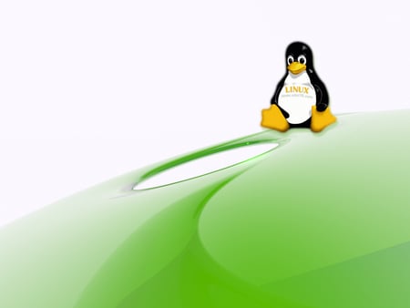 linux penguin - globe, linux, green, penguin